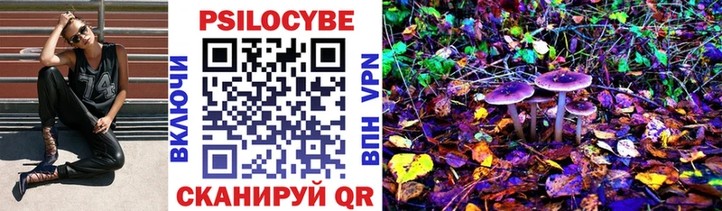 Галлюциногенные грибы Psilocybine cubensis  Нерчинск 