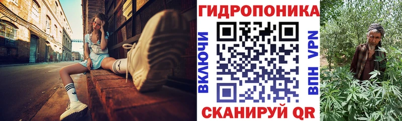 Бошки Шишки OG Kush  omg   Нерчинск  продажа наркотиков 